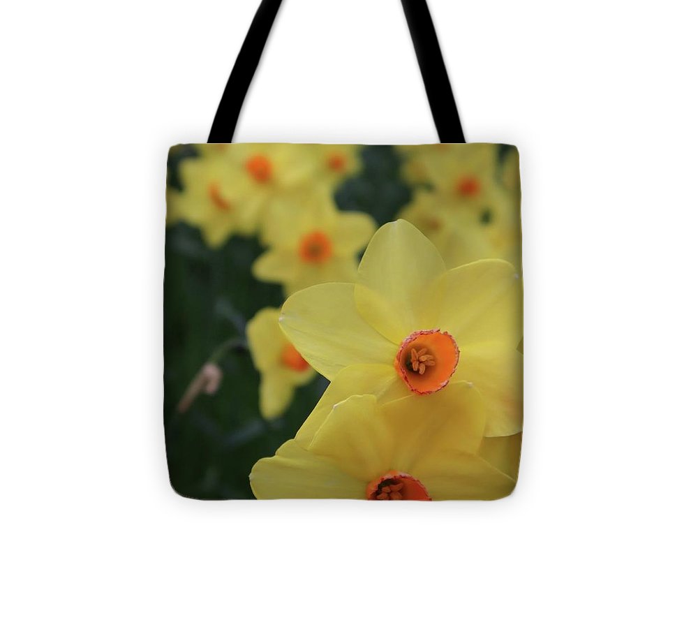 Daffodils at Windsor Palace - Tote Bag
