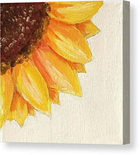 Sunflower 3 - Canvas Print