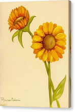 Sunflowers - Canvas Print