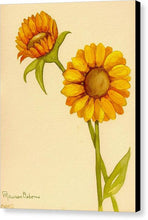 Sunflowers - Canvas Print