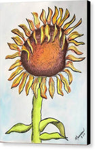 Wild Sunflower - Canvas Print