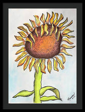 Wild Sunflower - Framed Print