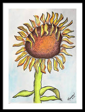 Wild Sunflower - Framed Print